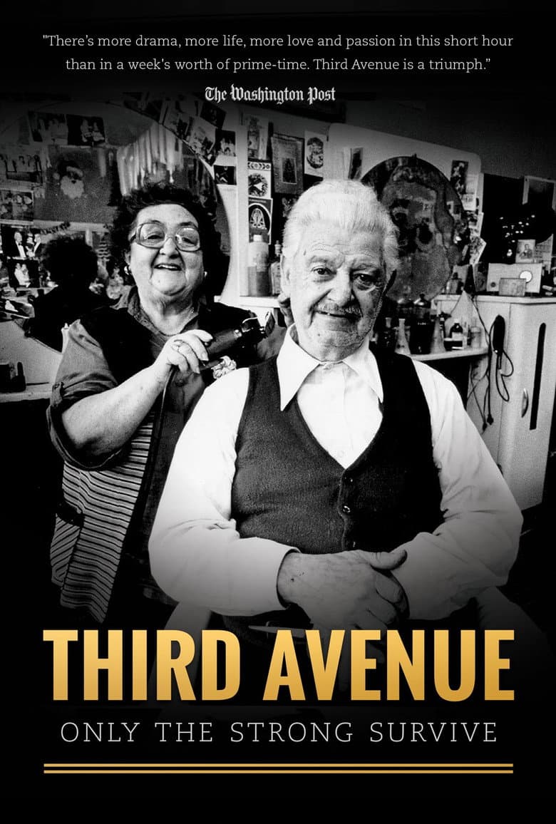 Third Avenue: Only the Strong Survive poster
