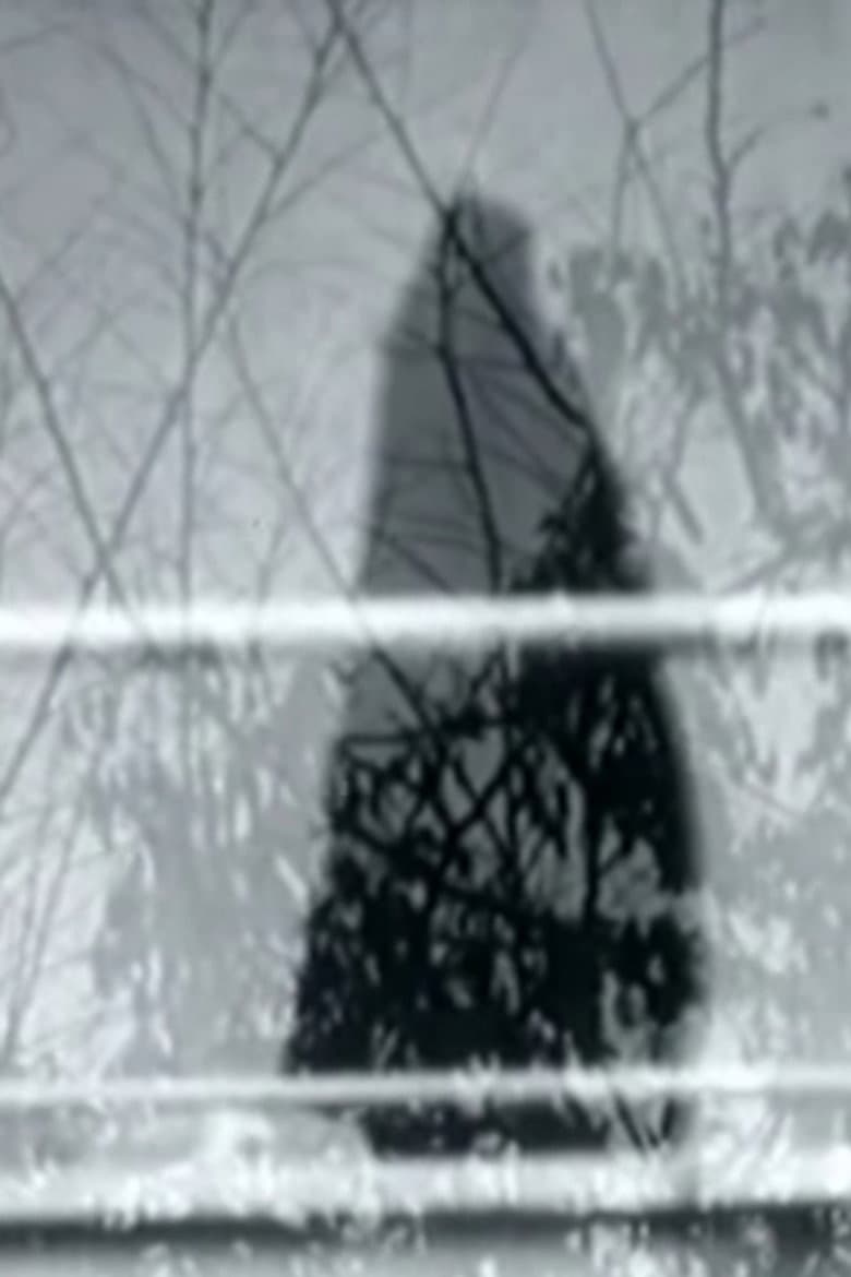 Never Happened poster