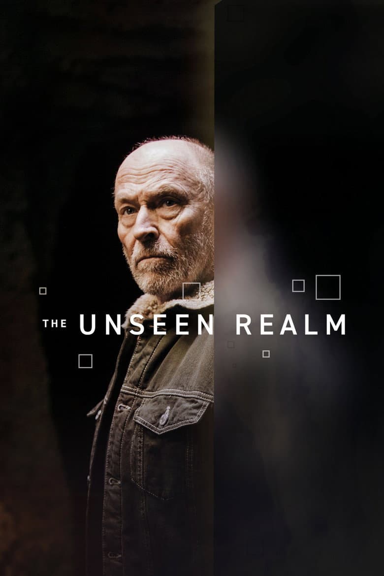 The Unseen Realm poster