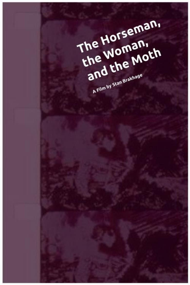 The Horseman, the Woman, and the Moth poster