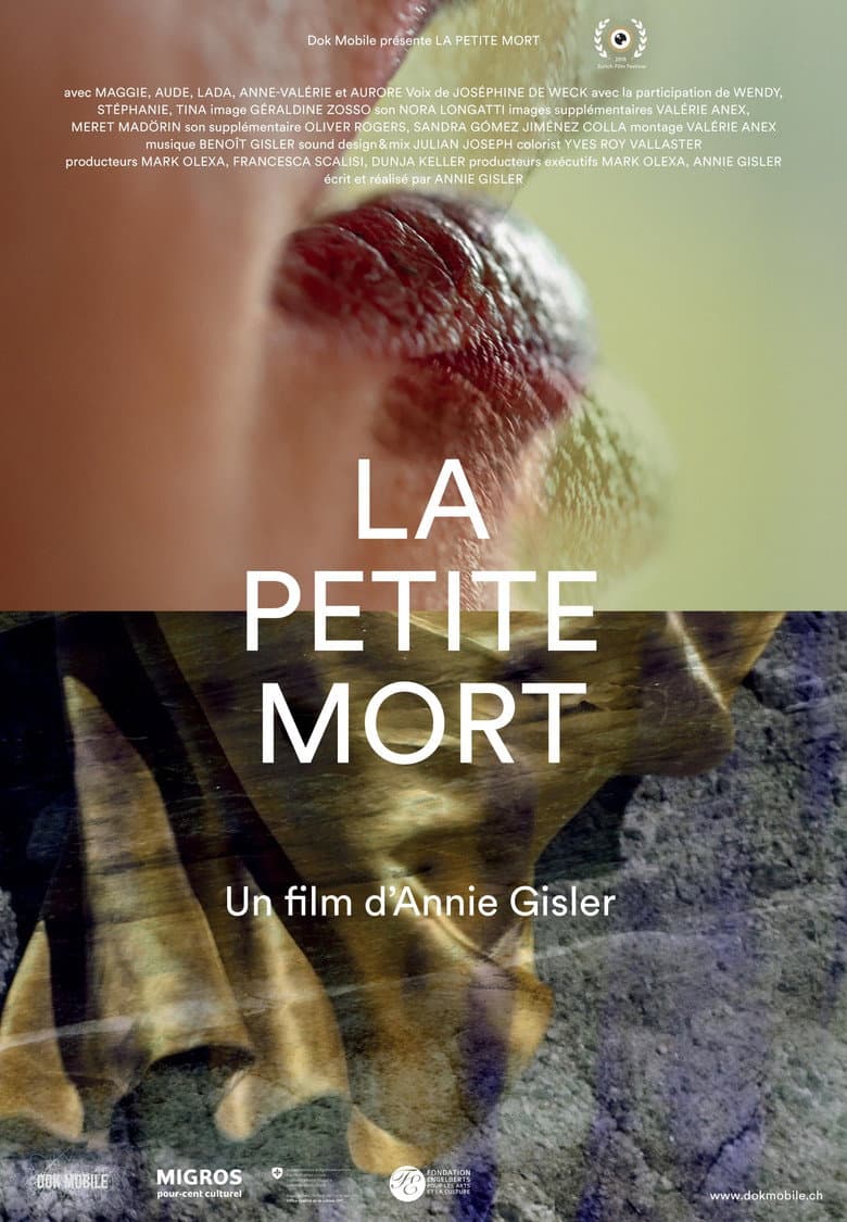 The Little Death poster