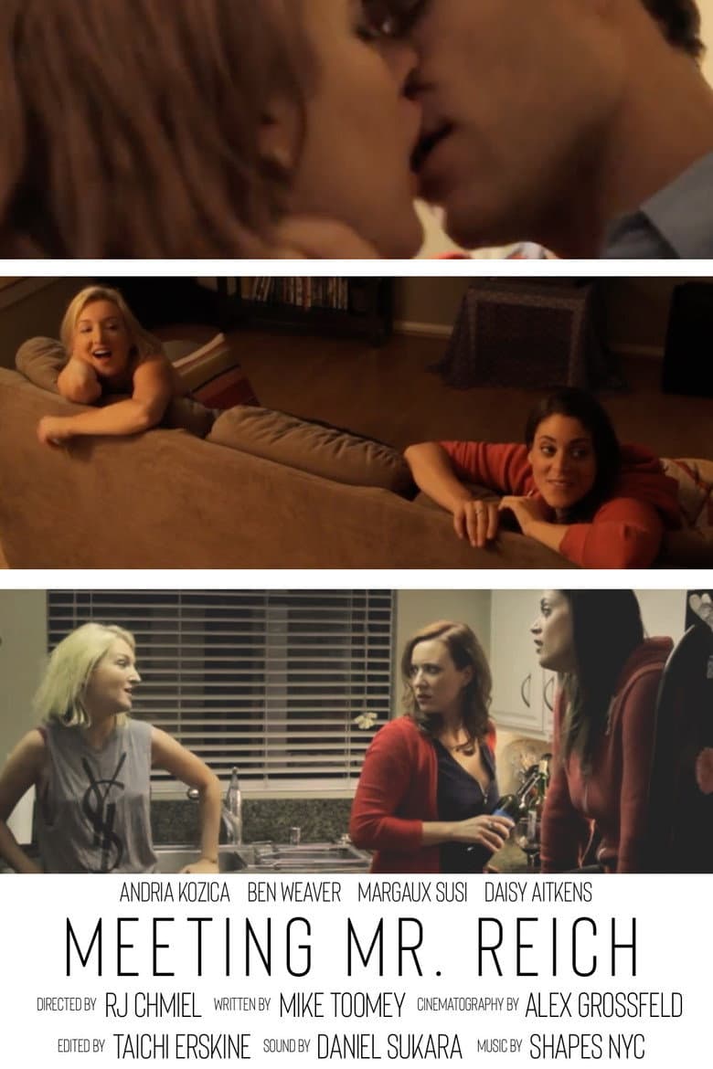 Meeting Mr. Reich poster