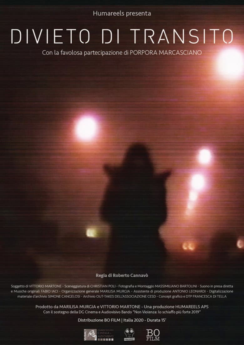 Forbidden Transit poster