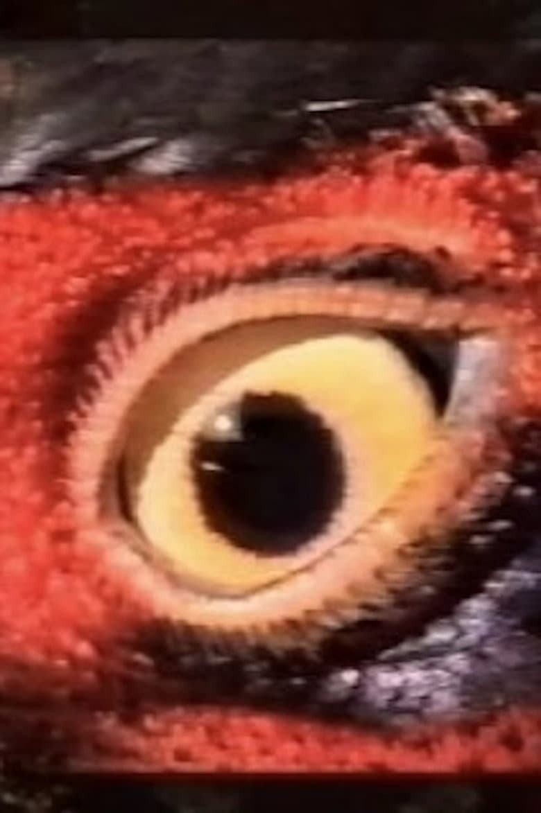 Espoir/Microcosmos poster