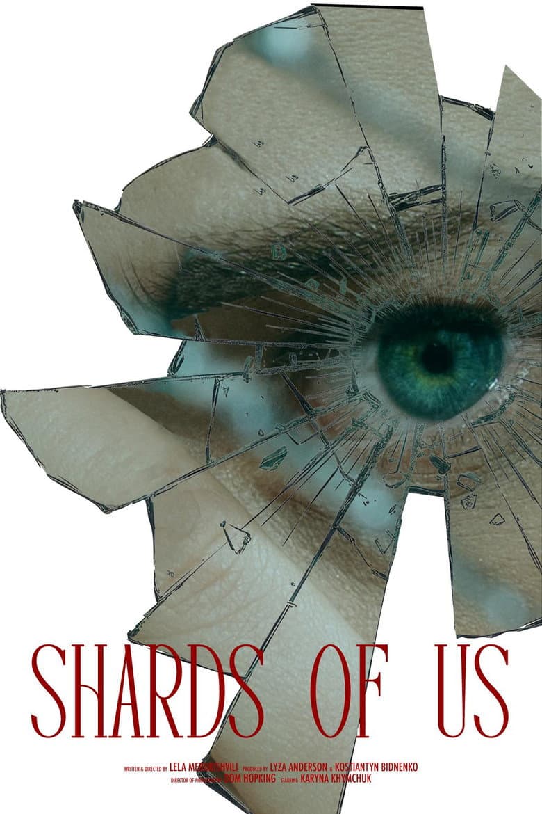 Shards of Us poster