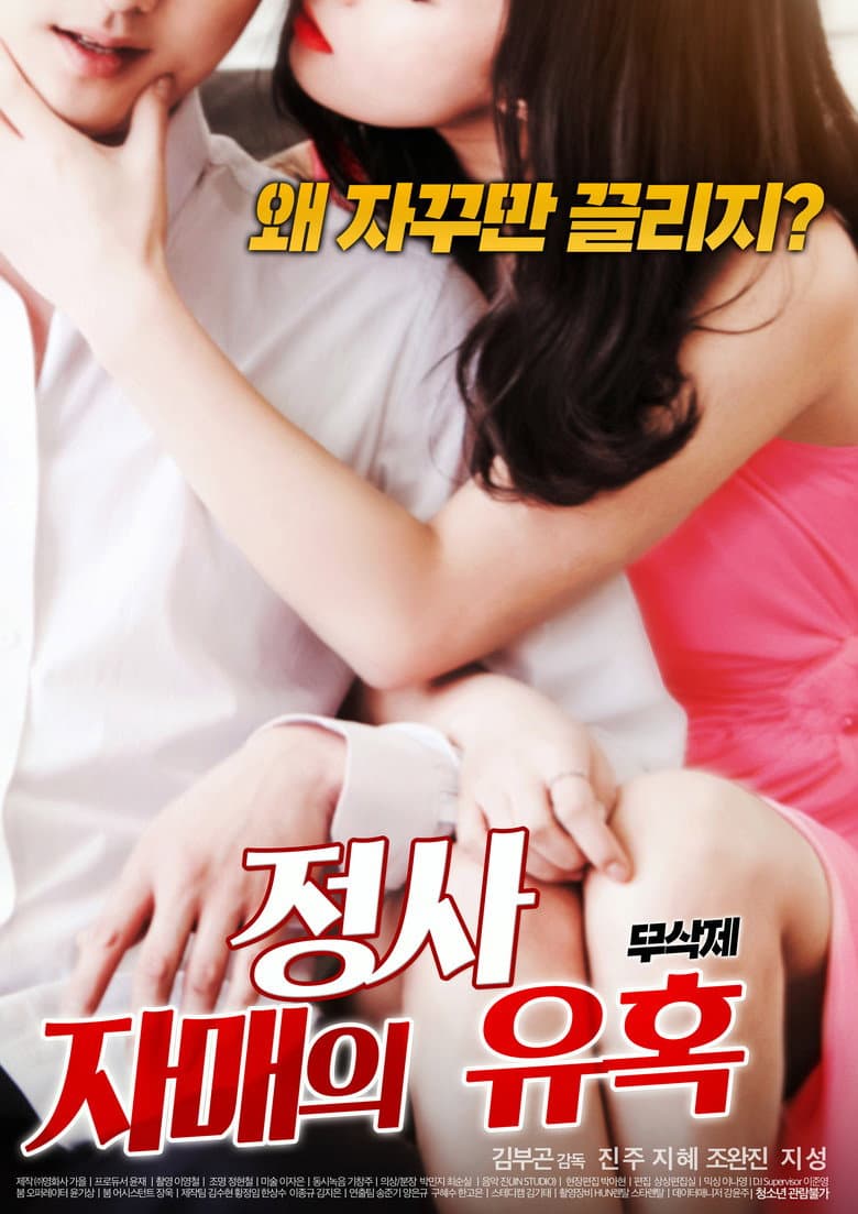 Affair: Sister’s Temptation poster