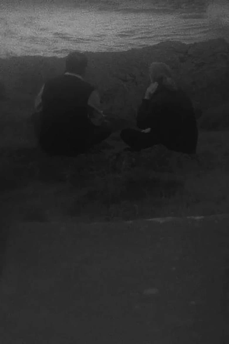 Circumcision of Participant Observation poster