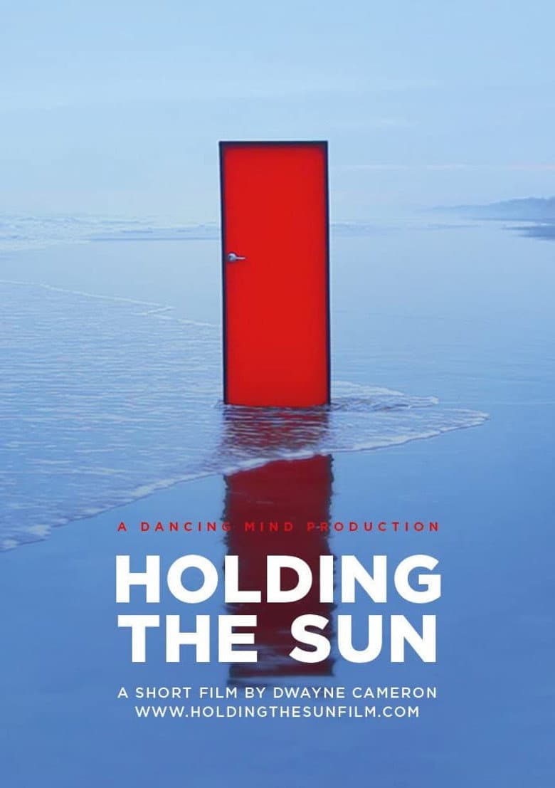 Holding the Sun poster