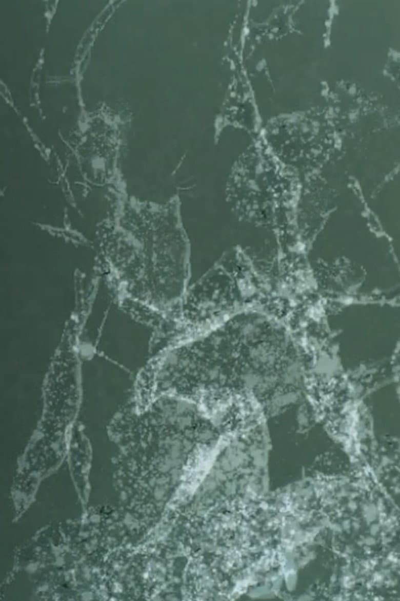 early summer, dust in the wind poster