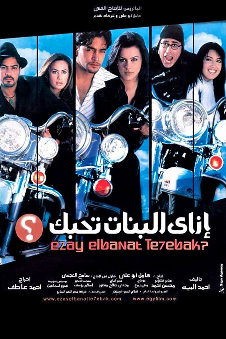 How to Get Girls to Fall for You poster