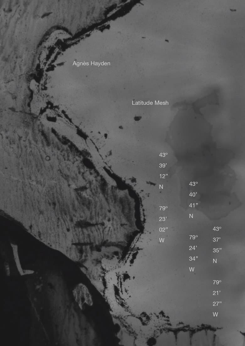 Latitude Mesh poster
