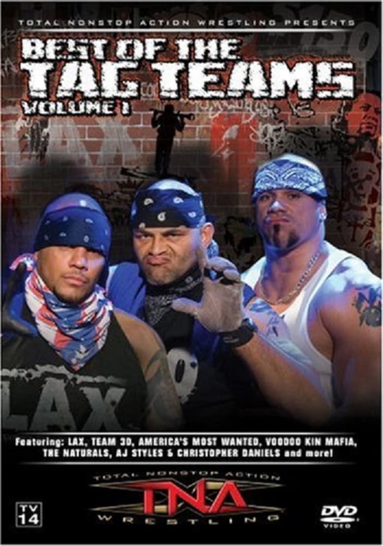 TNA Wrestling: Best of Tag Teams, Volume 1 poster