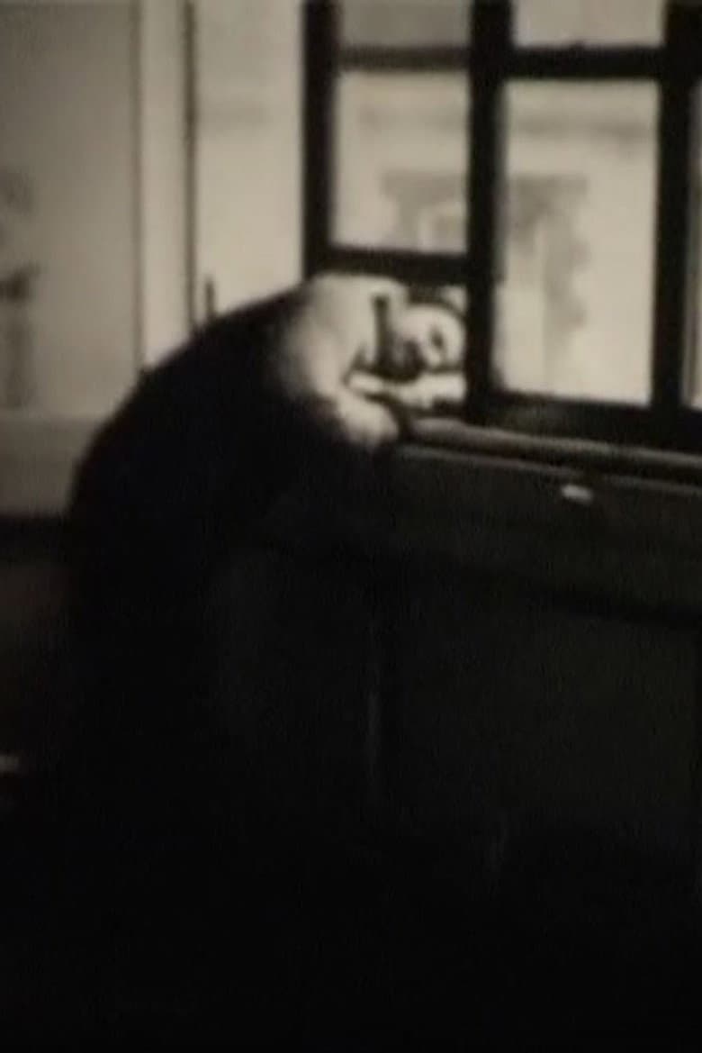The Last Films of Humphrey Esterhase poster
