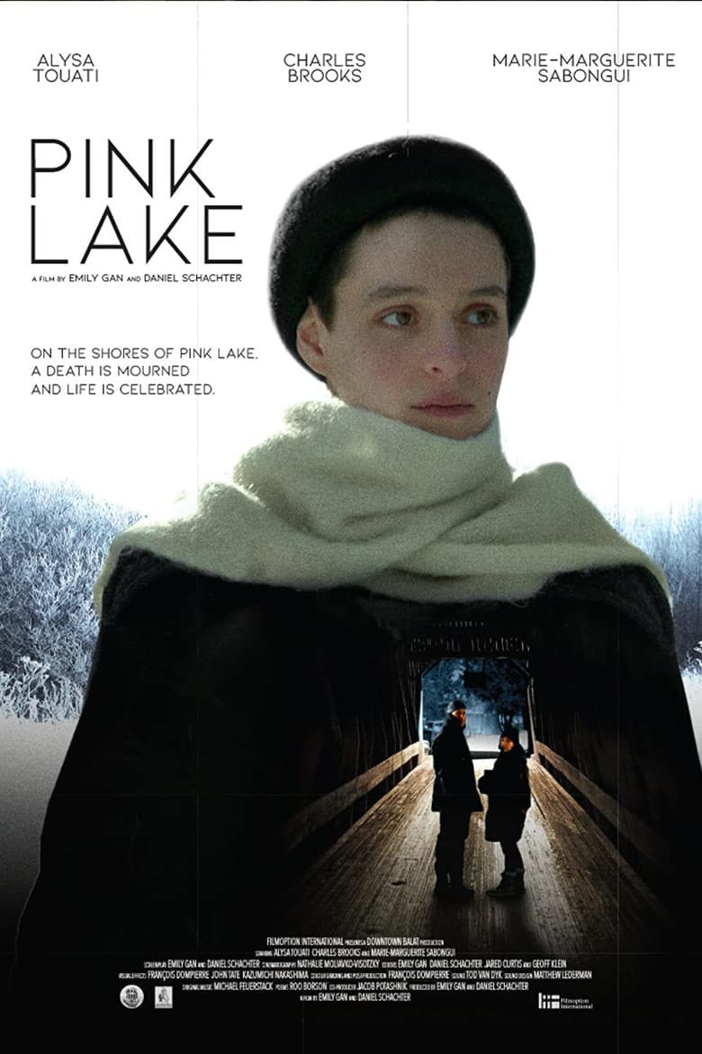 Pink Lake poster