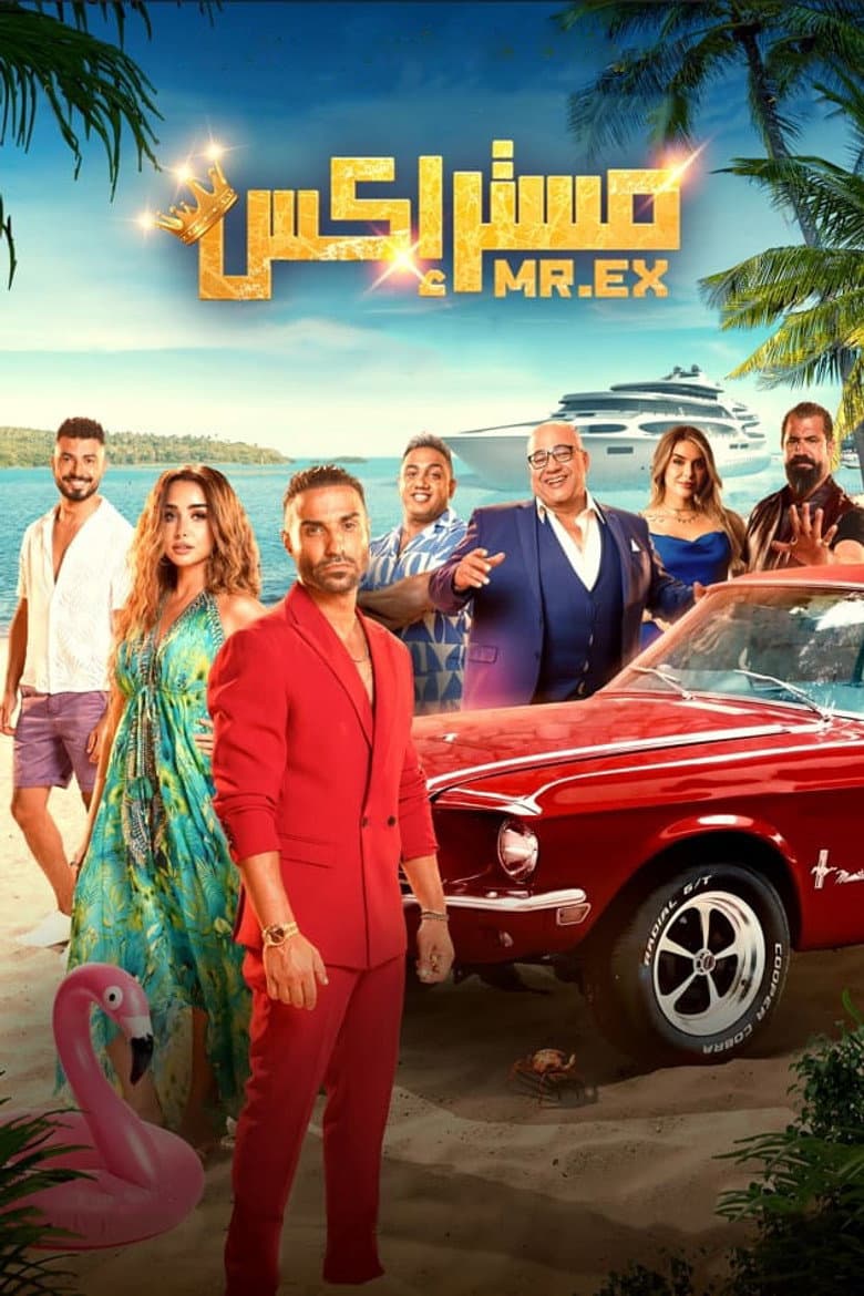 Mr. Ex poster