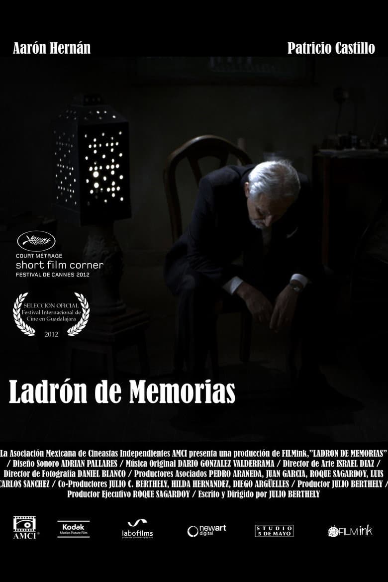 Ladrón de memorias poster