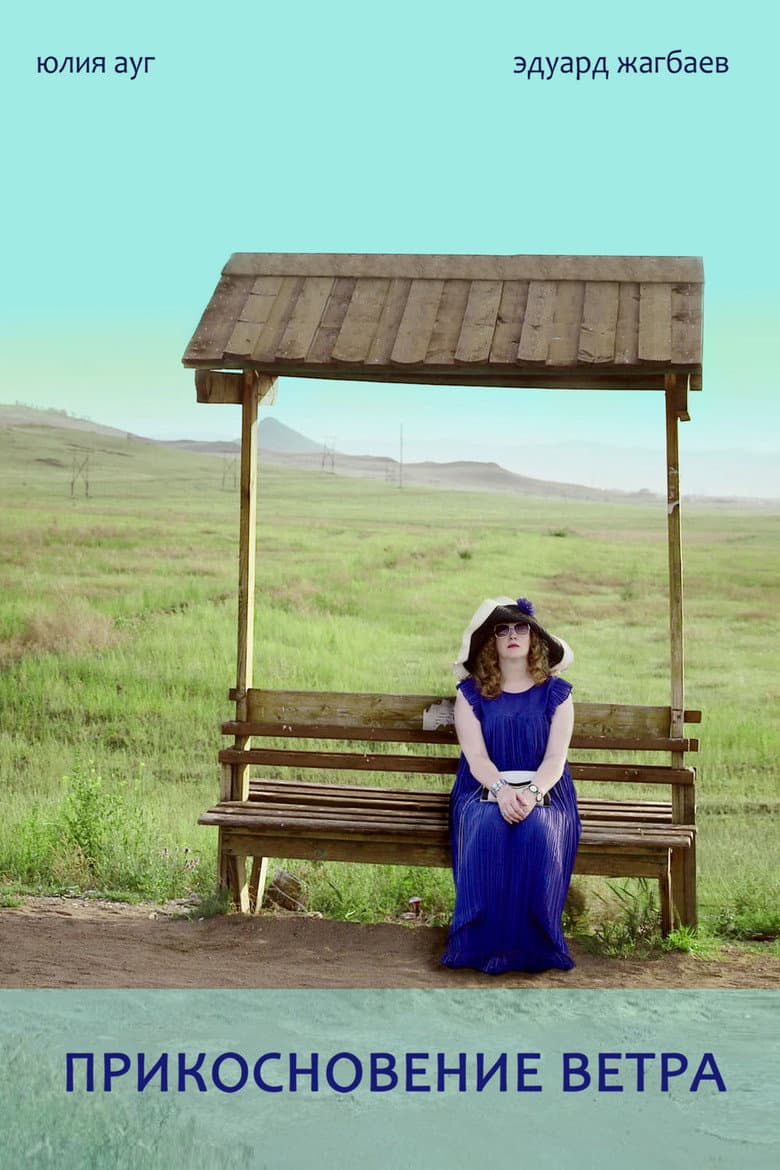 A Touch of Wind poster