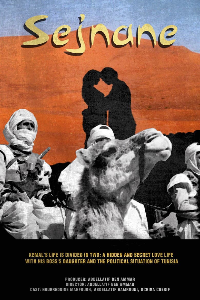 Sejnane poster