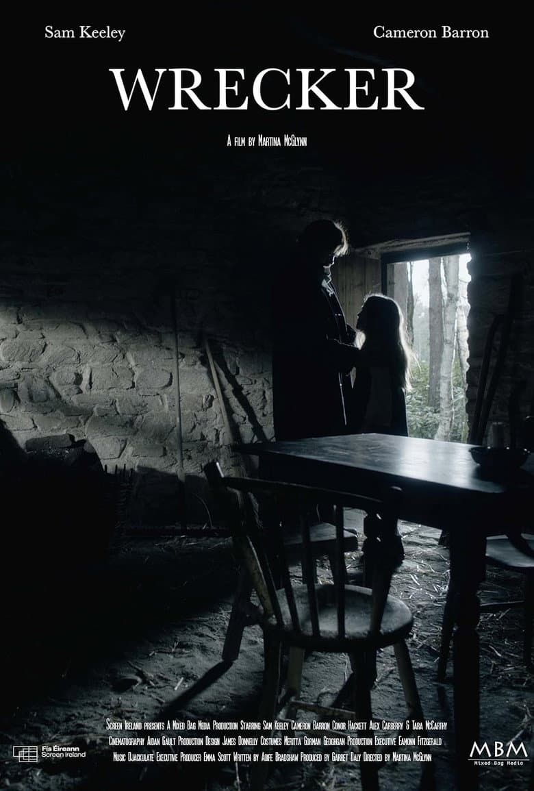 Wrecker poster