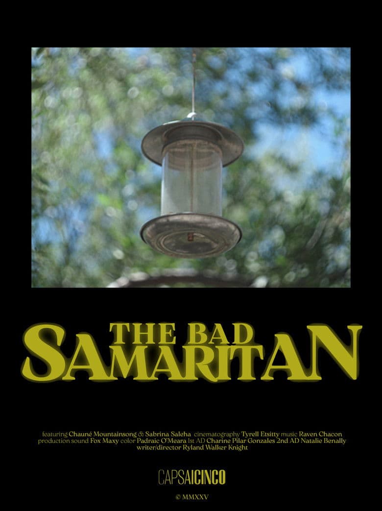 The Bad Samaritan poster
