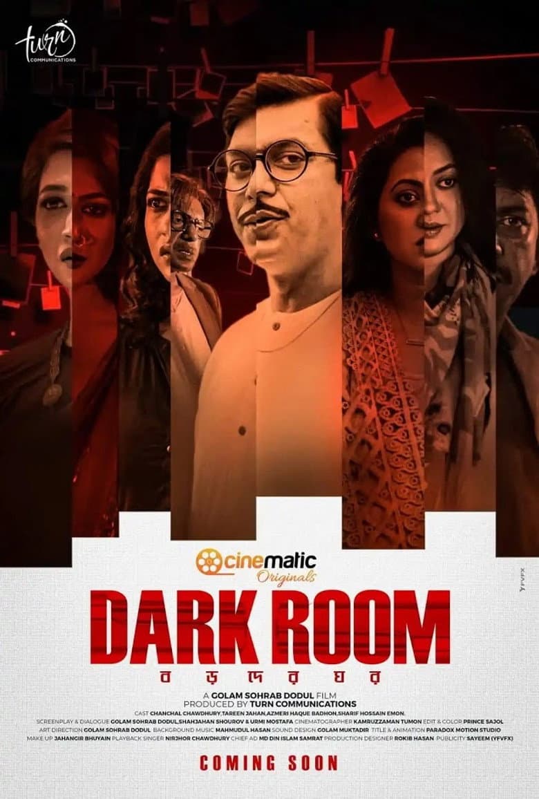 Dark Room poster