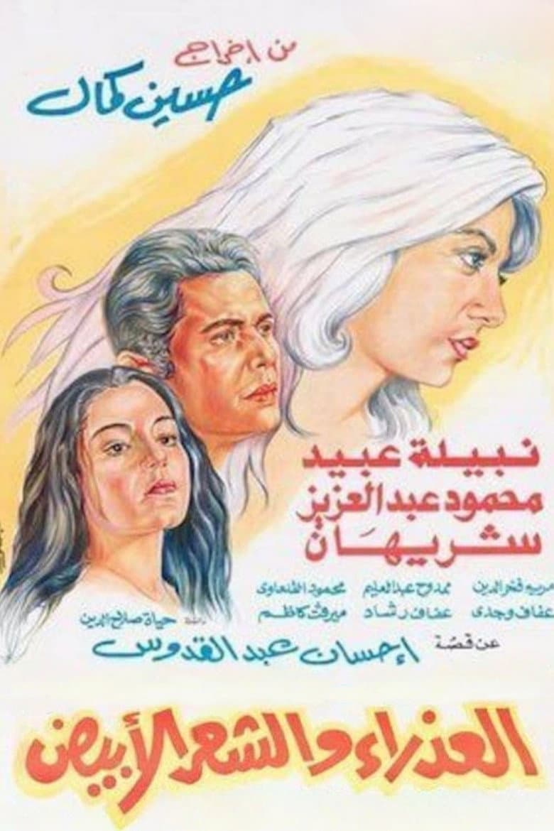 The Virgin and the Gray Hair poster