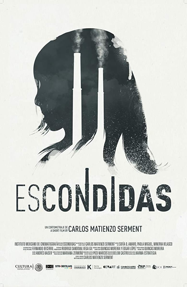 Hidden Death Girl And Seek poster