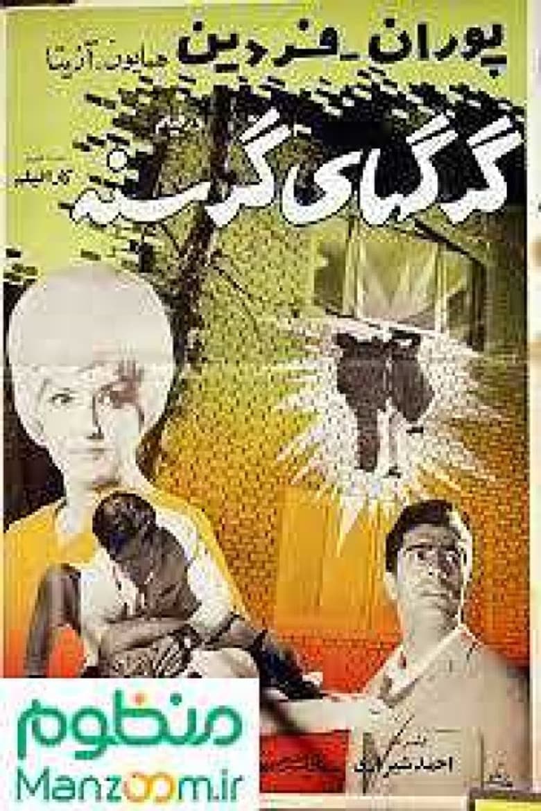 Hungary wolves poster