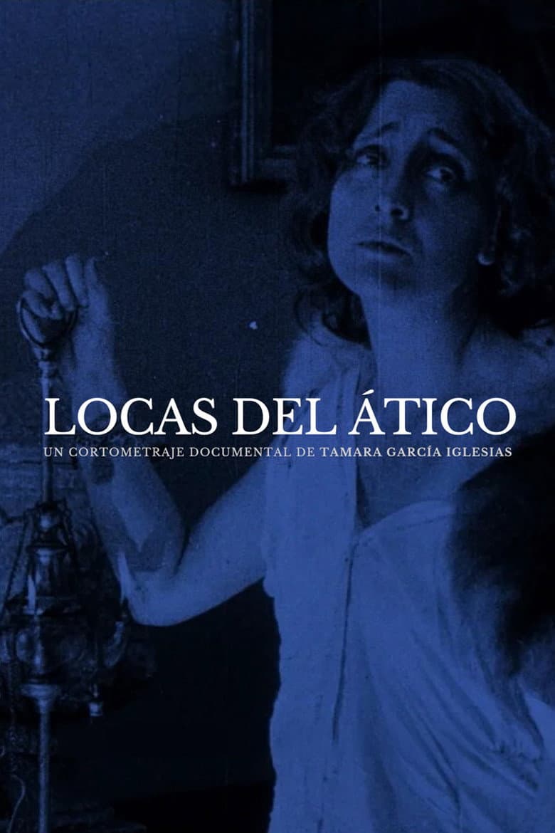 Madwomen in the Attic poster