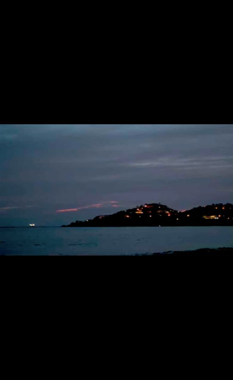 Disintegration Loops (dlp 5) poster