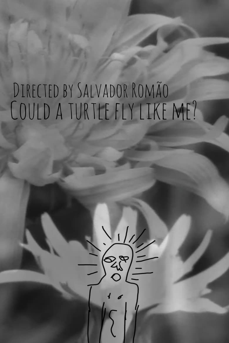 Could a turtle fly like me? poster