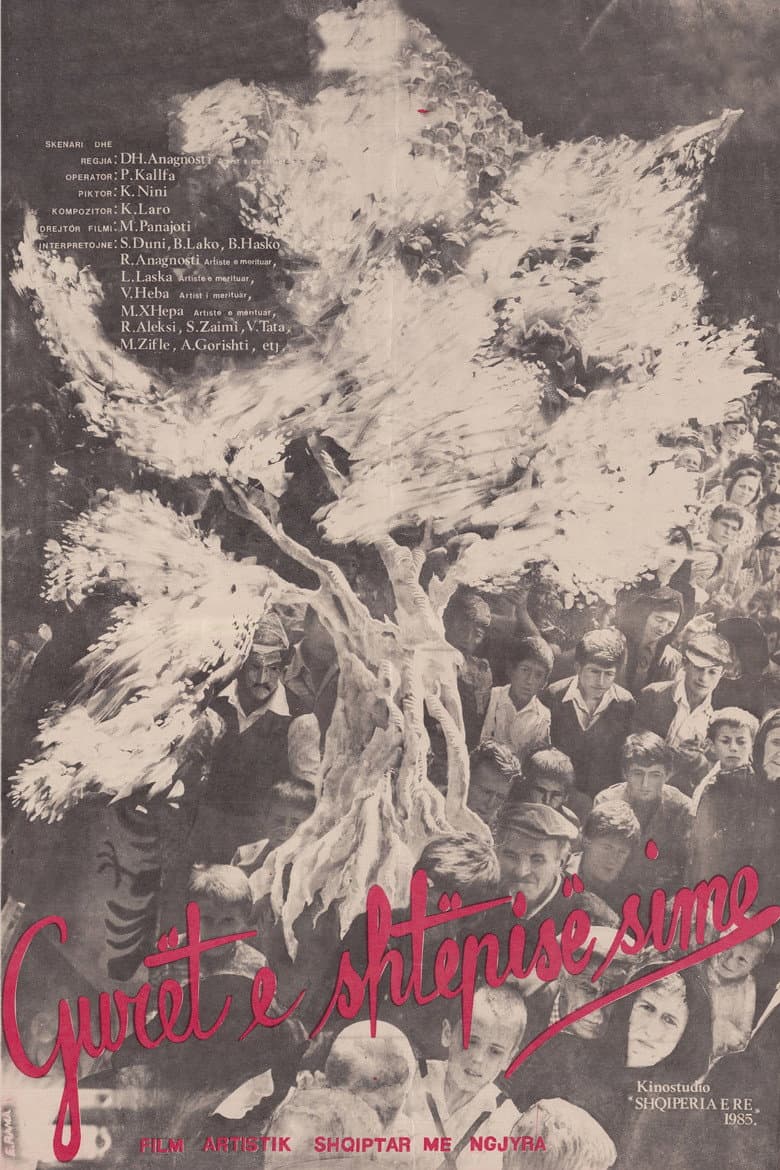 The Stones of my House poster