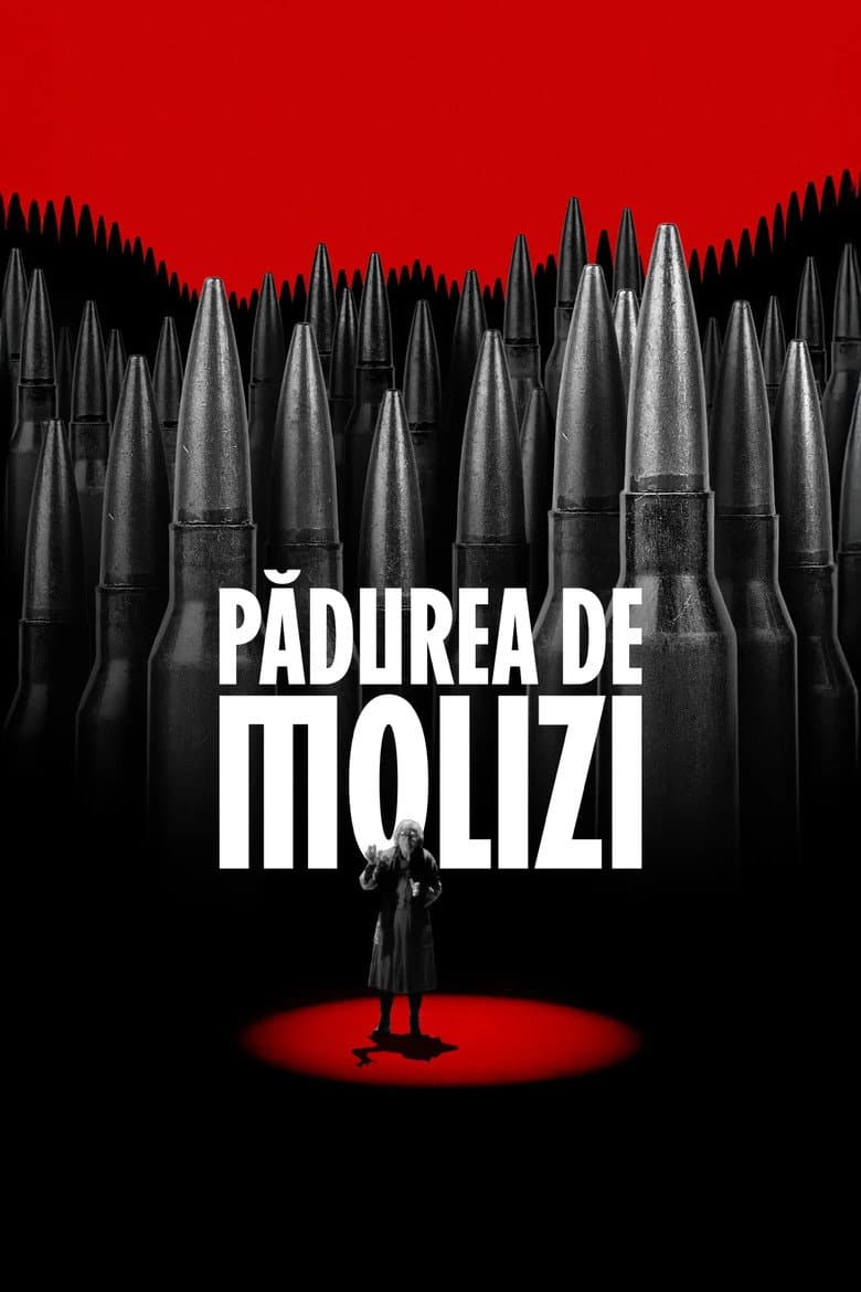 Spruce Forest poster