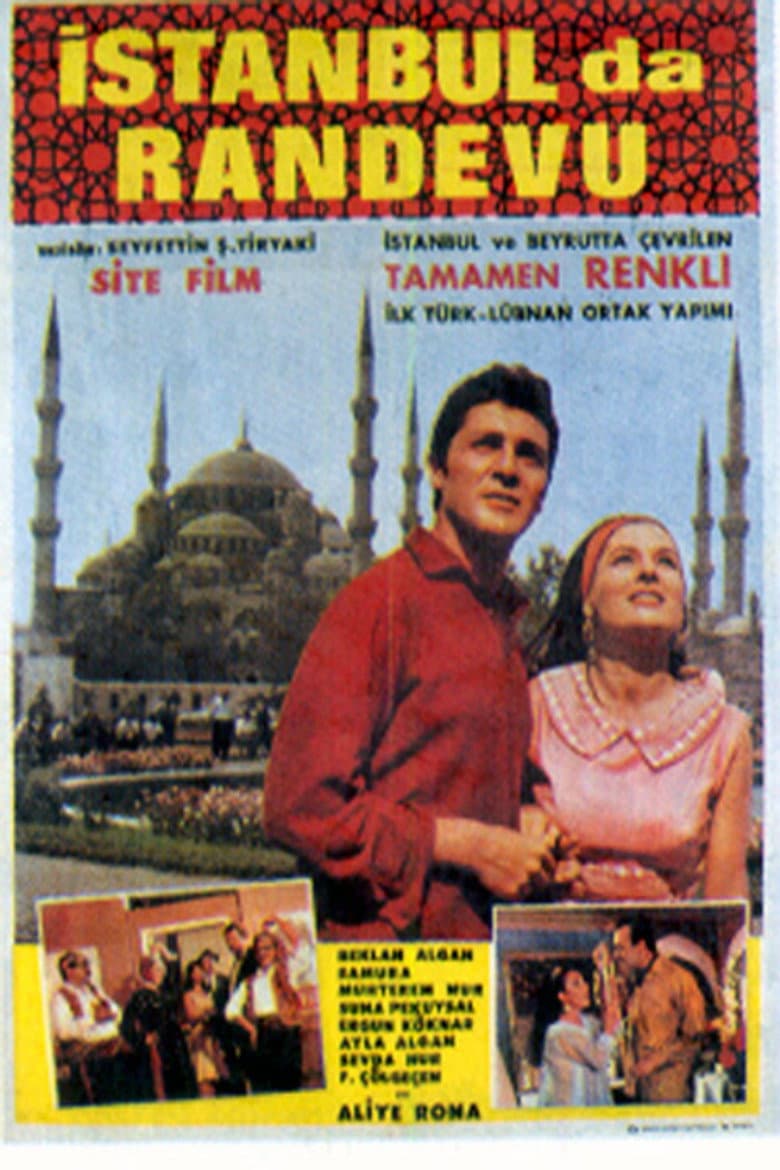 Love in Istanbul poster