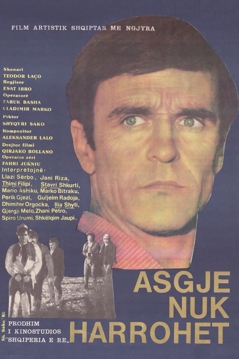 Nothing is Forgotten poster