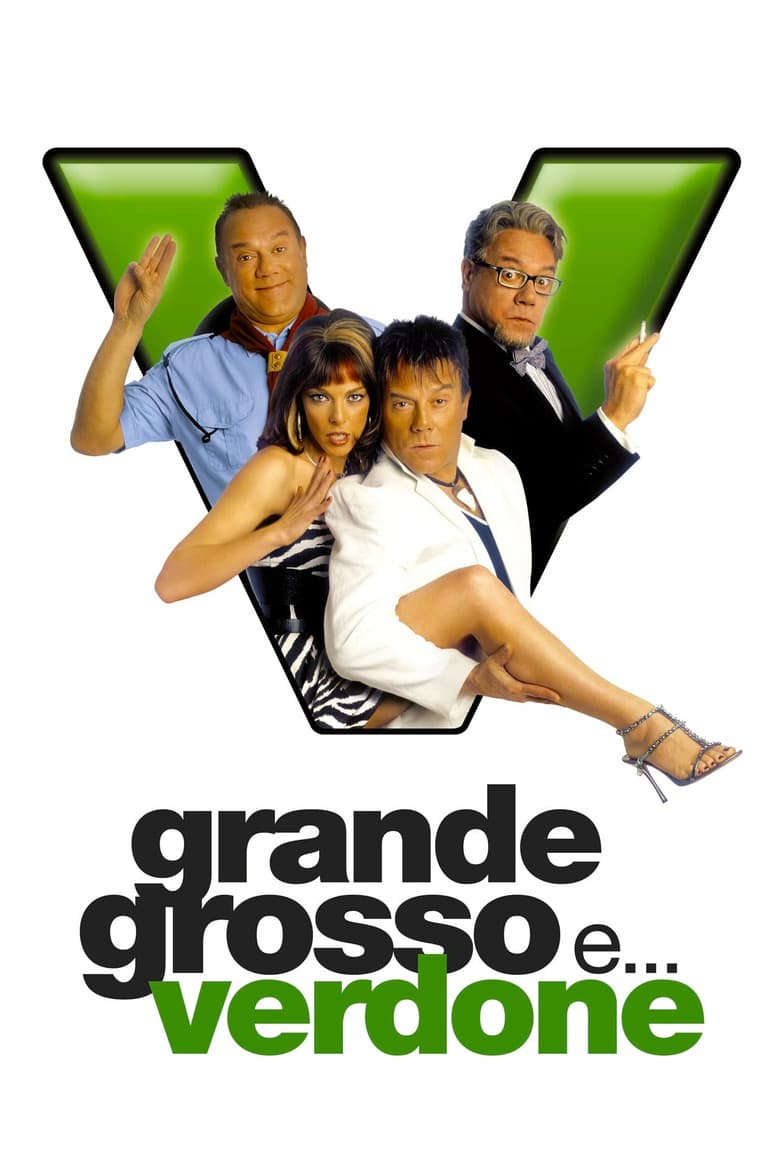 Grande, grosso e... Verdone poster