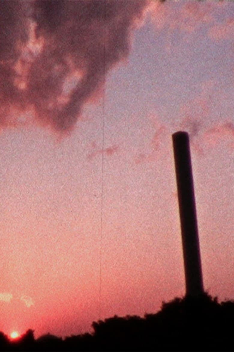 Amami rabbit and saffron cod poster