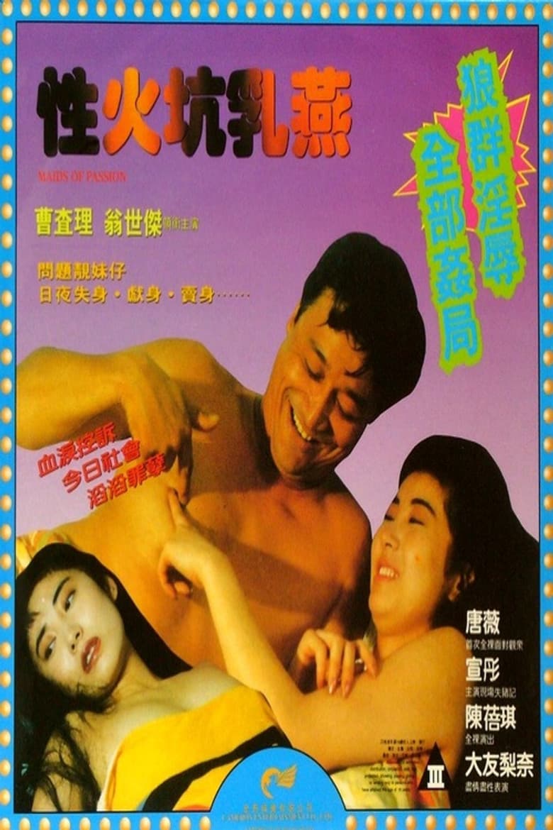 Maids of Passion poster