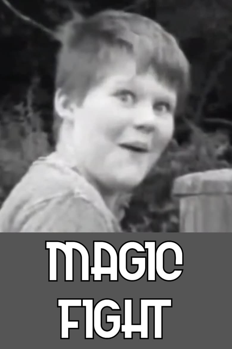 Magic Fight poster