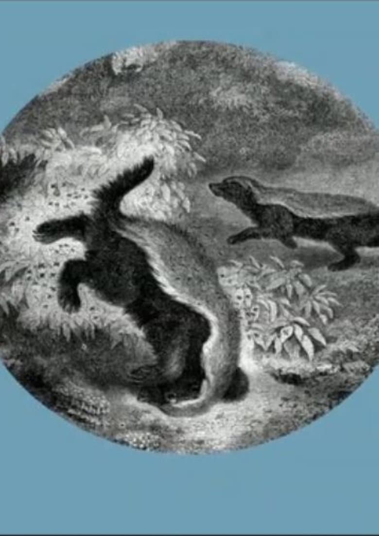 The Kiss of the Honey Badger poster