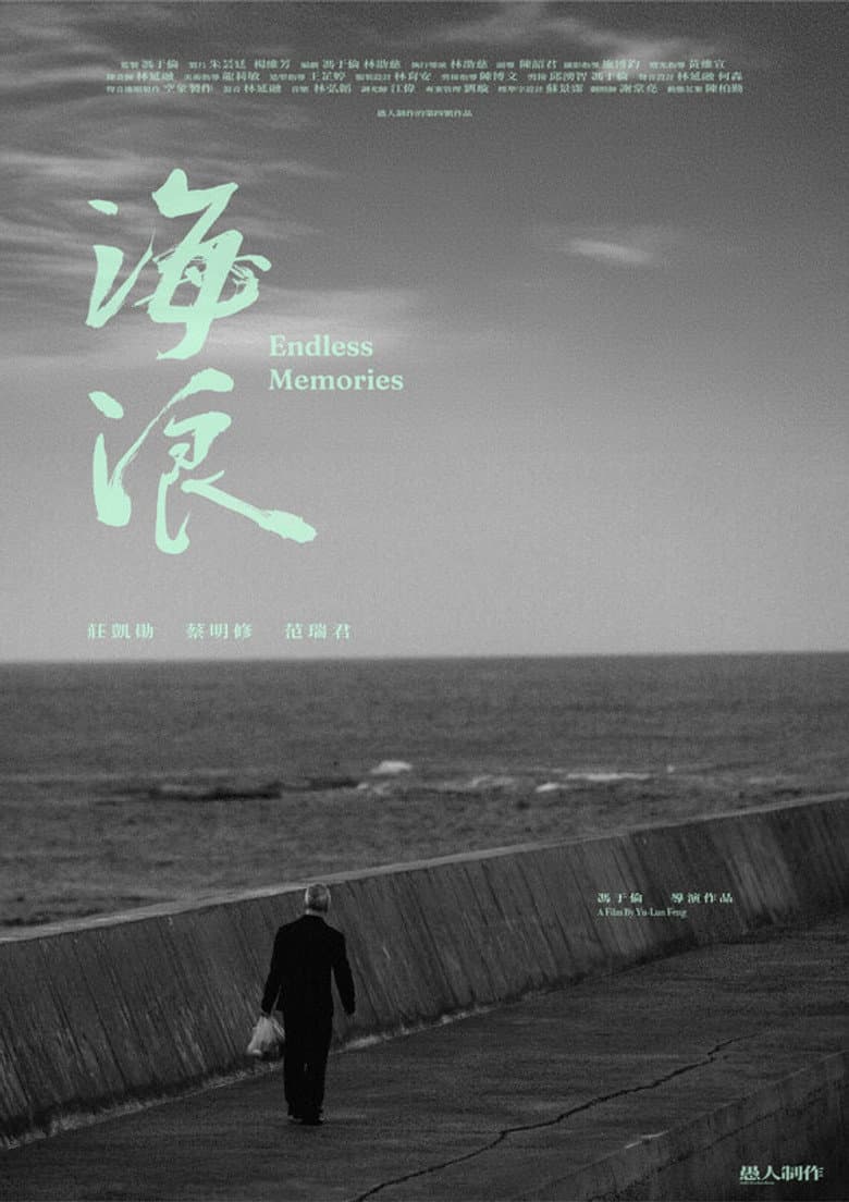Endless Memories poster