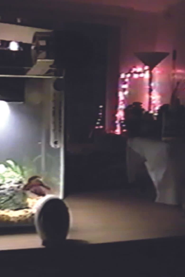 Space 11.16.22 poster