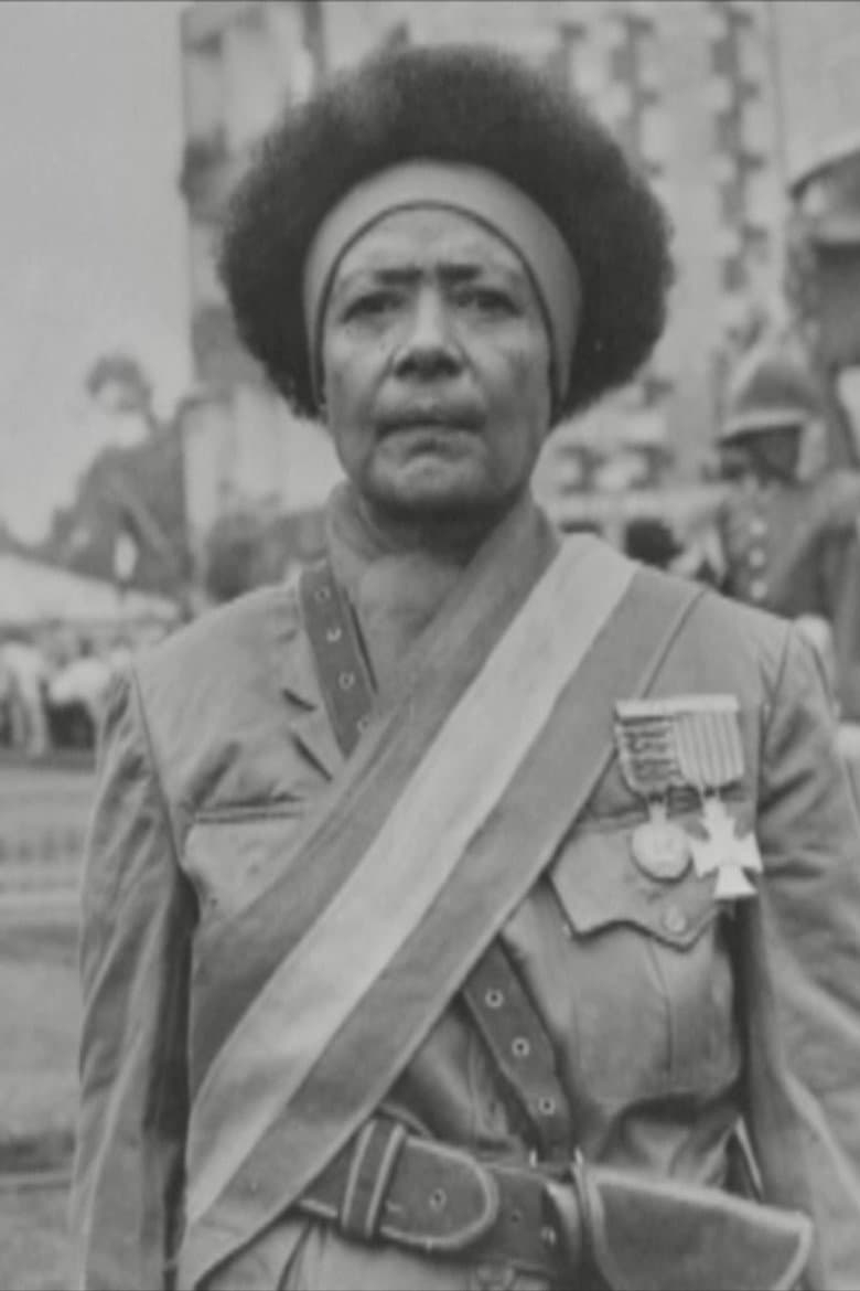 Black Lions – Roman Wolves poster