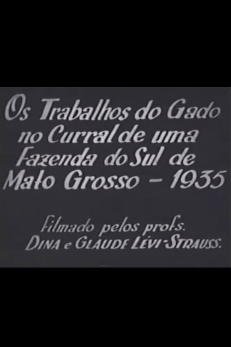 Cattle Work in the Corral of a Farm in Southern Mato Grosso poster