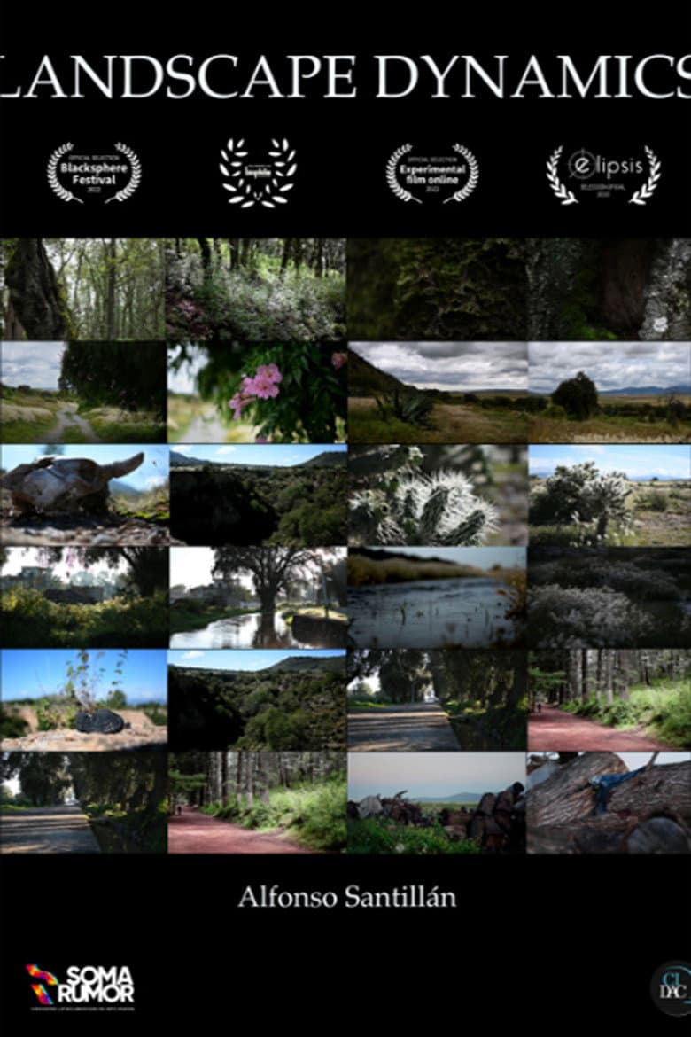 Landscape dynamics poster