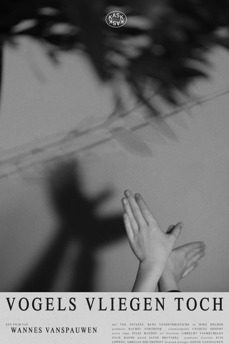 Vogels vliegen toch poster