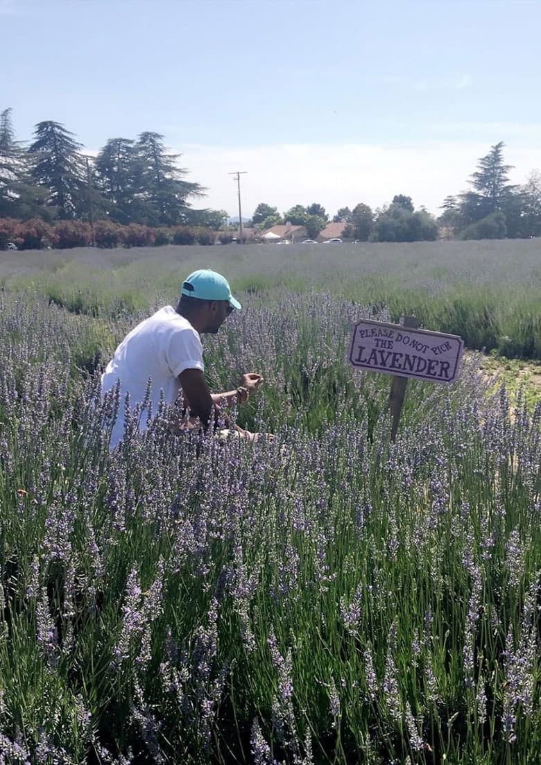 The Forfeiture Clause poster