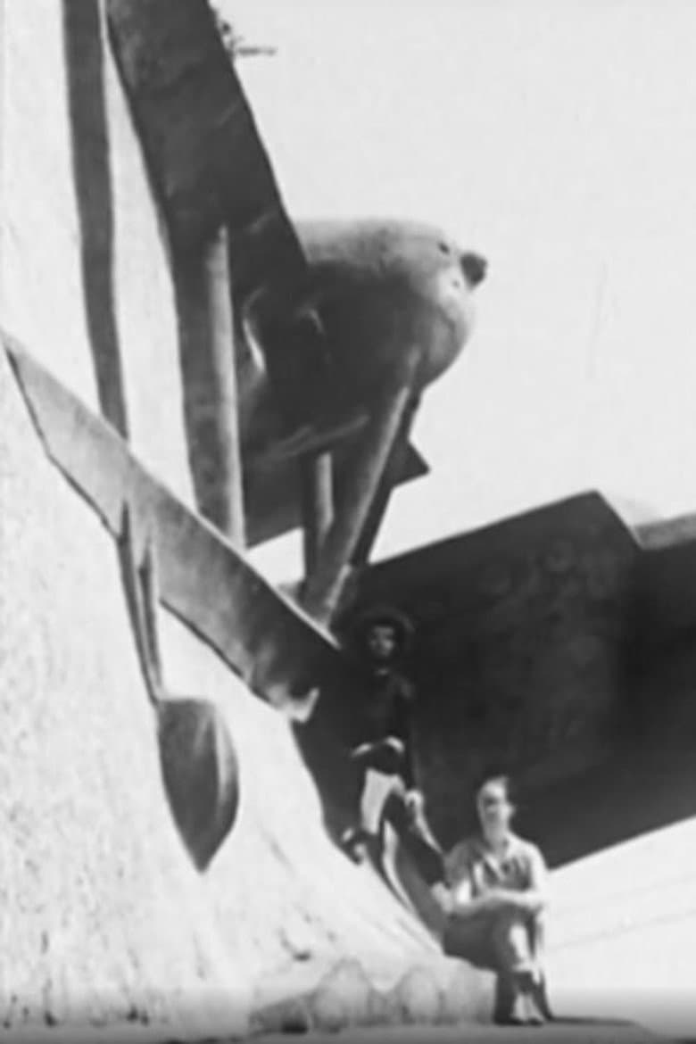 L'hydravion et Le Peintre poster