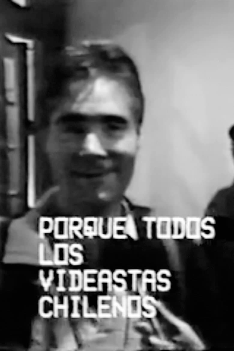 En busca del videasta perdido o Mister Off y el caso de las papas locas poster