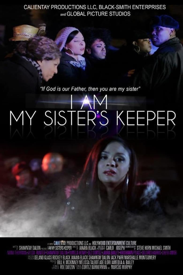 I Am My Sister's Keeper poster